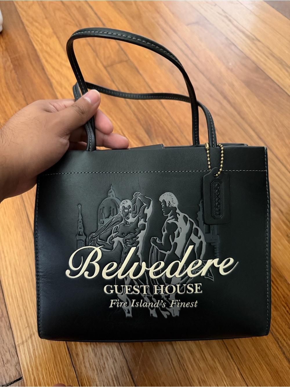 Coach Belvedere Fire Island Cashin Tote Pride Collection